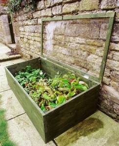 Cold frames and other early season methods give you more!