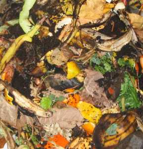 Food waste is made up of mostly green materials.